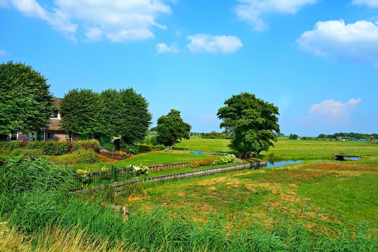 Maximum Land